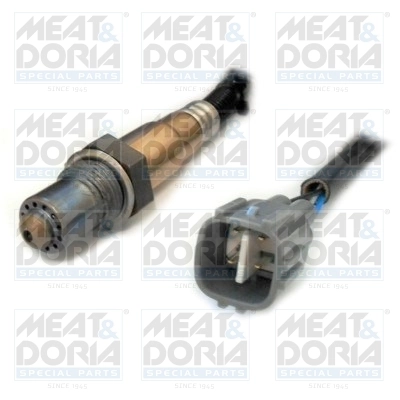 Oxygen Sensor